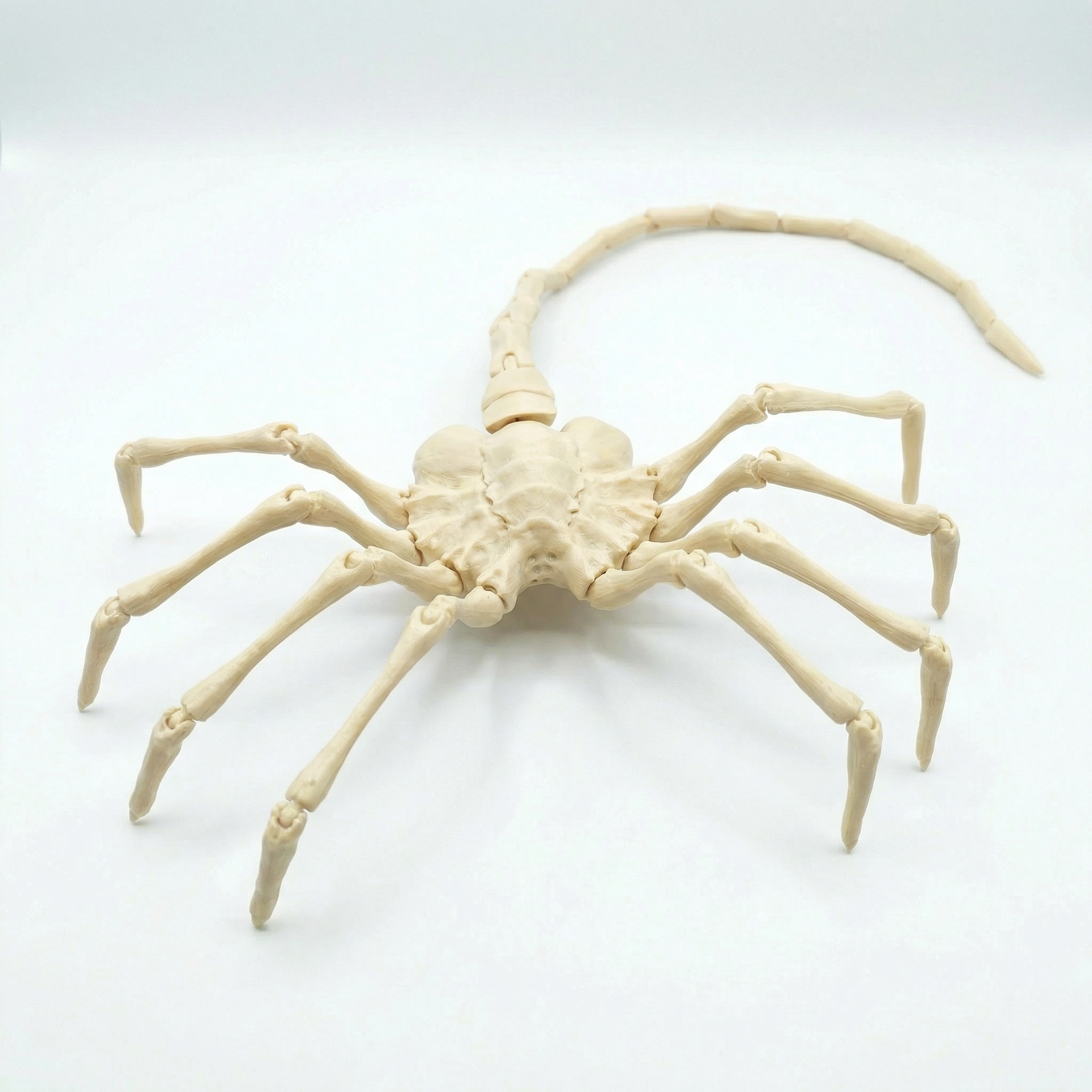 Life-Sized Alien Facehugger - Fully Articulated Movie Prop