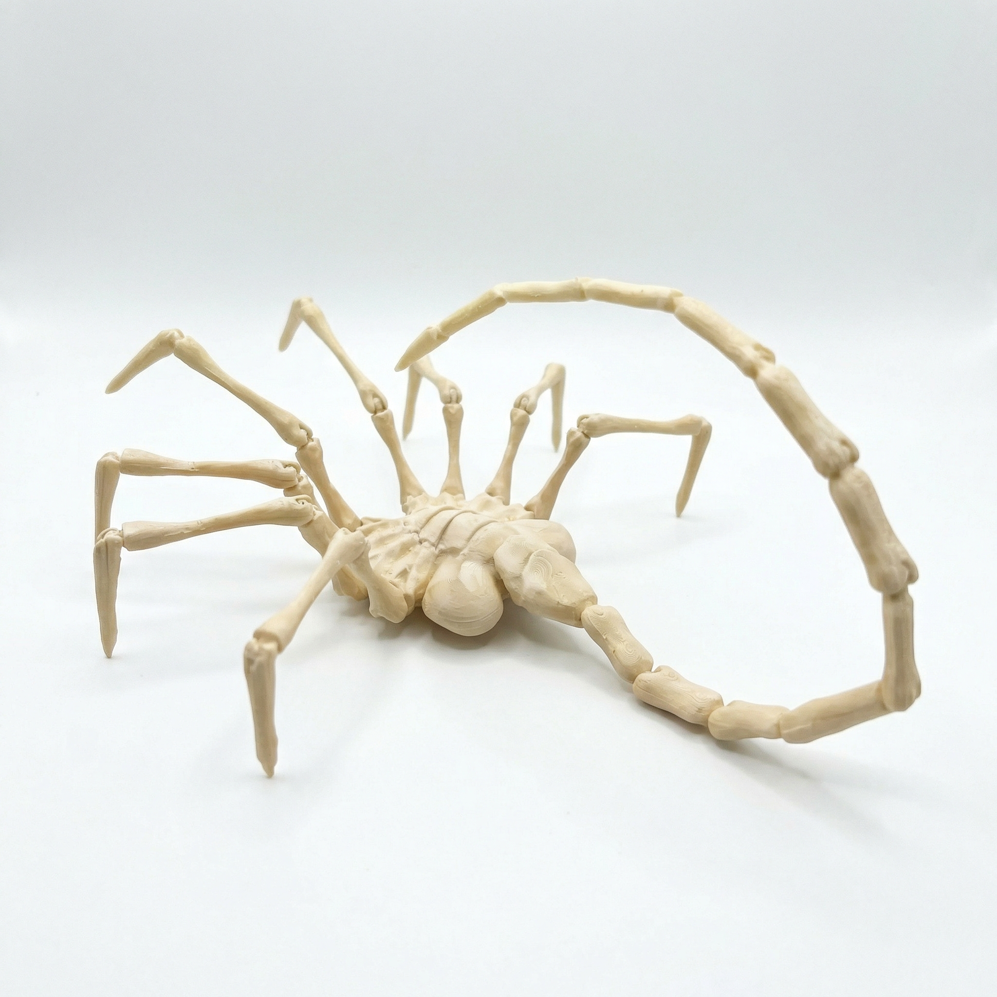 Life-Sized Alien Facehugger - Fully Articulated Movie Prop